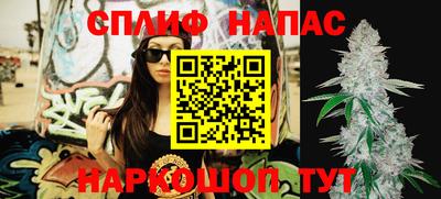 PSILOCYBIN Новокубанск