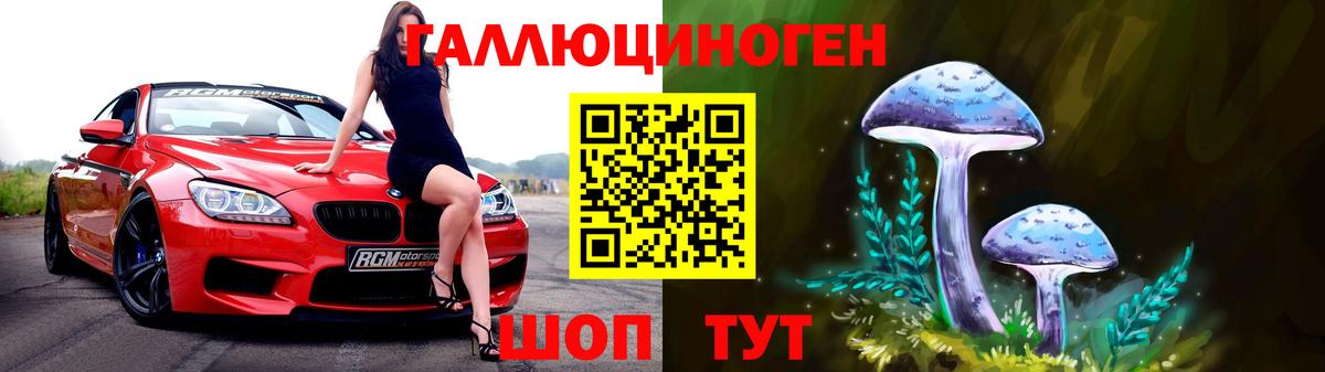 Новодвинск  Галлюциногенные грибы Cubensis  Вход с VPN 